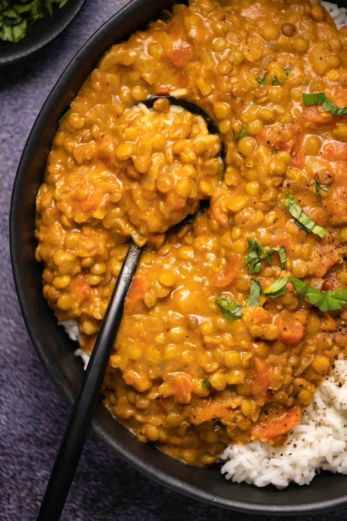 Lentil curry with rice in a black bowl with a spoon. 