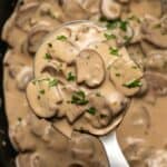 Mushroom sauce