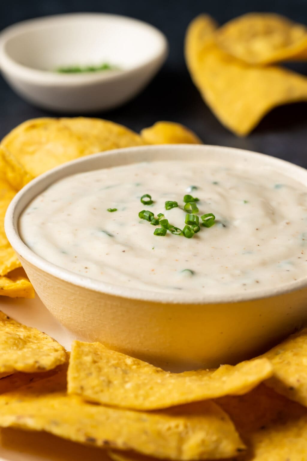 Garlic Dip Gimme That Flavor