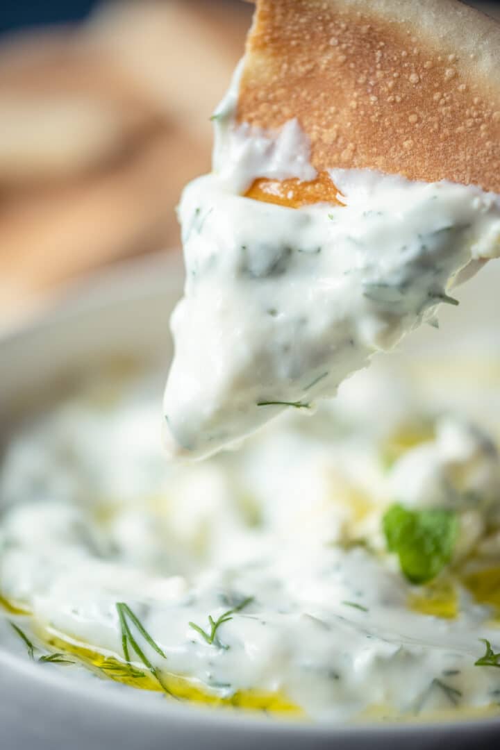 Haydari (Turkish Yogurt Dip) - Gimme That Flavor